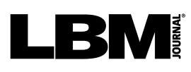 LBM Journal logo